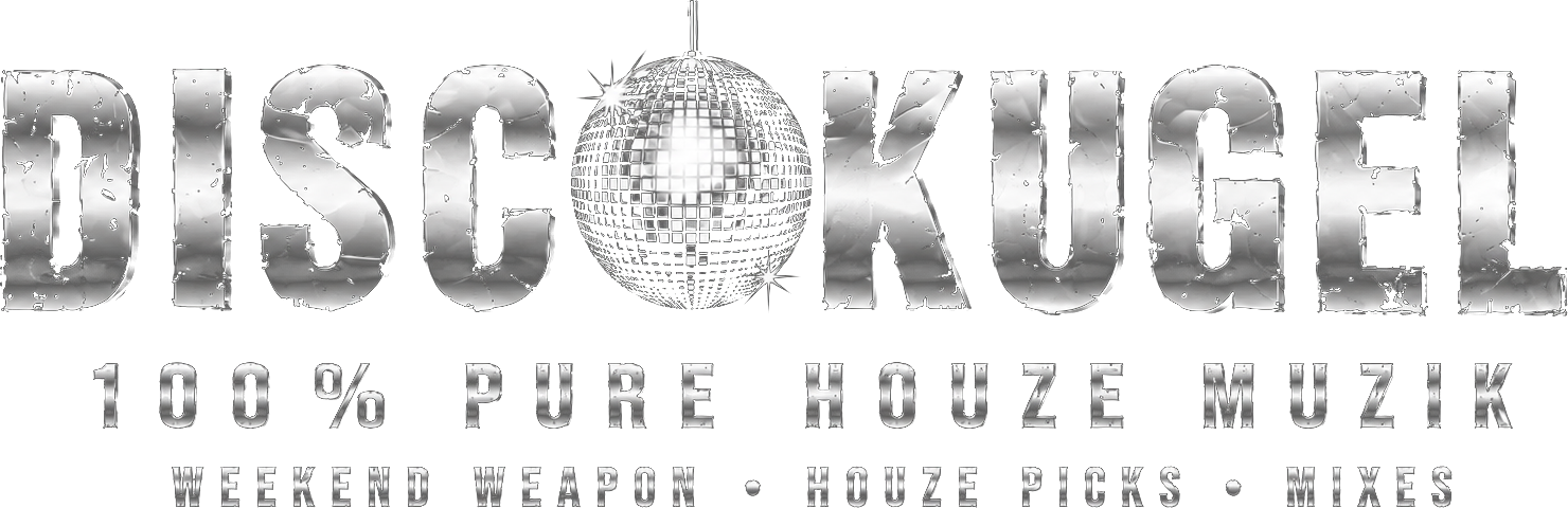 Discokugel — 100% Pure Houze Muzik